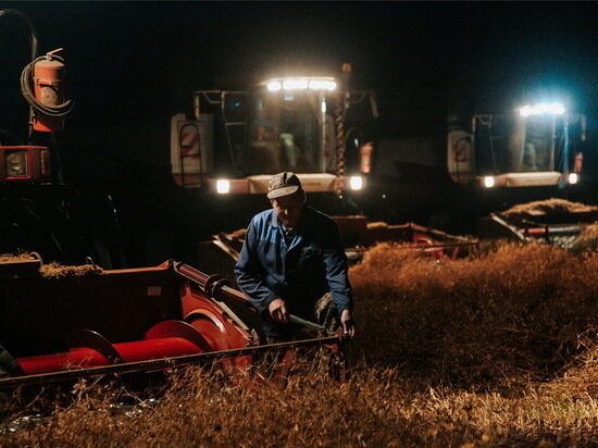     Фото: agro.cap.ru