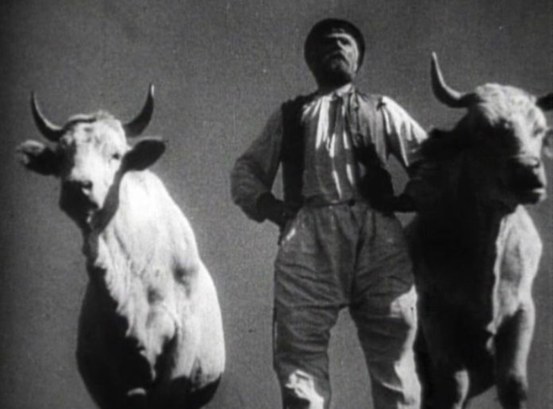 Кадр из фильма «Земля», реж. Александр Довженко, 1930