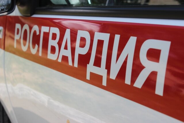    Росгвардия © Пресс-служба управления Росгвардии по Челябинской области