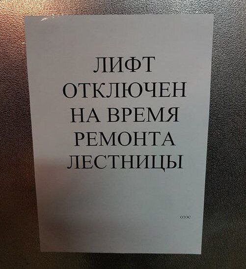 Мы сошли с ума