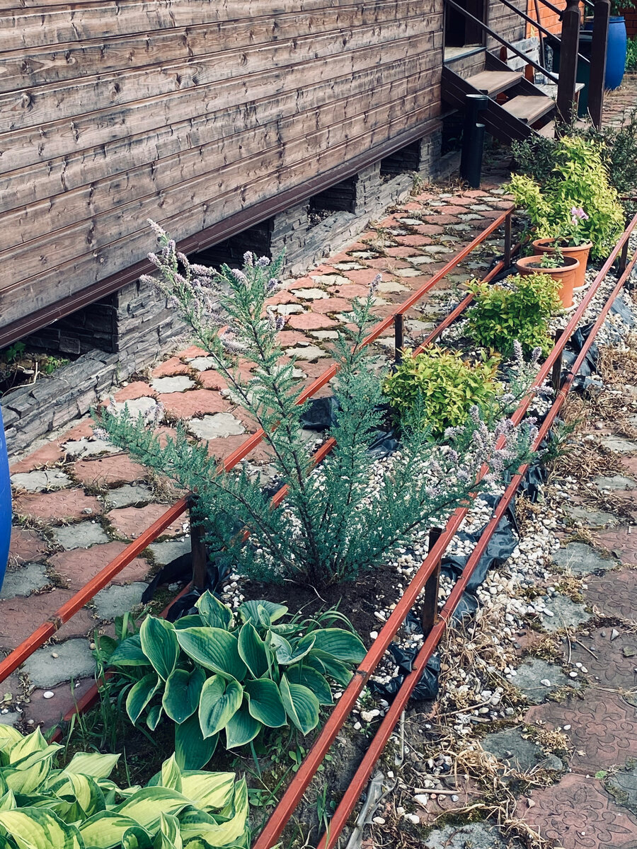 Заборчик вдоль дома. Старый и сгнивший забор мы отодрали. Поперечные рейки поменяли с деревянных на металлические, теперь к ним надо будет прибить деревянные плашки. Везде фото автора.