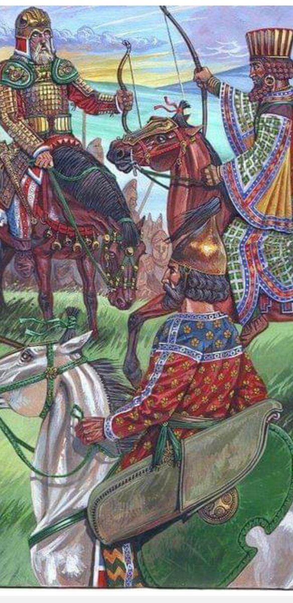 Credit Darius A.Kamali 