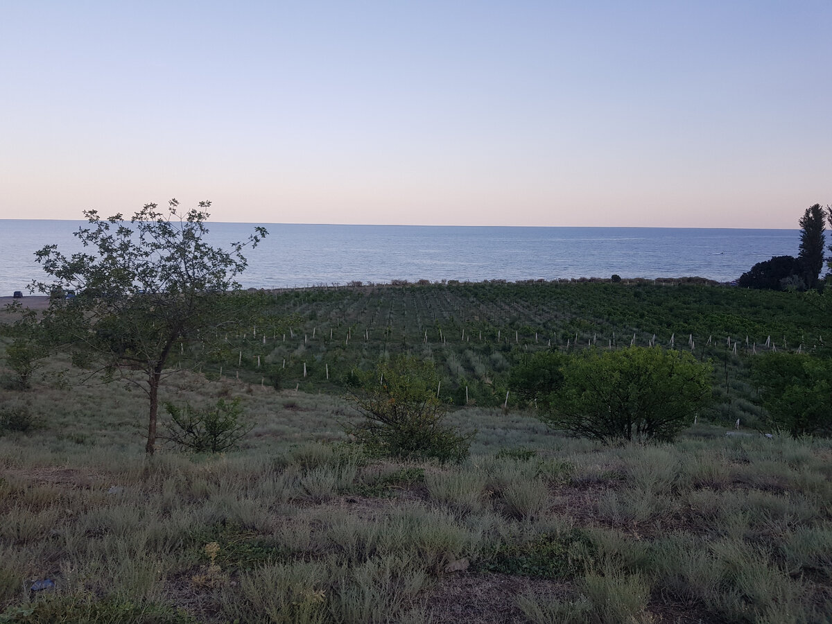 Приветеое .