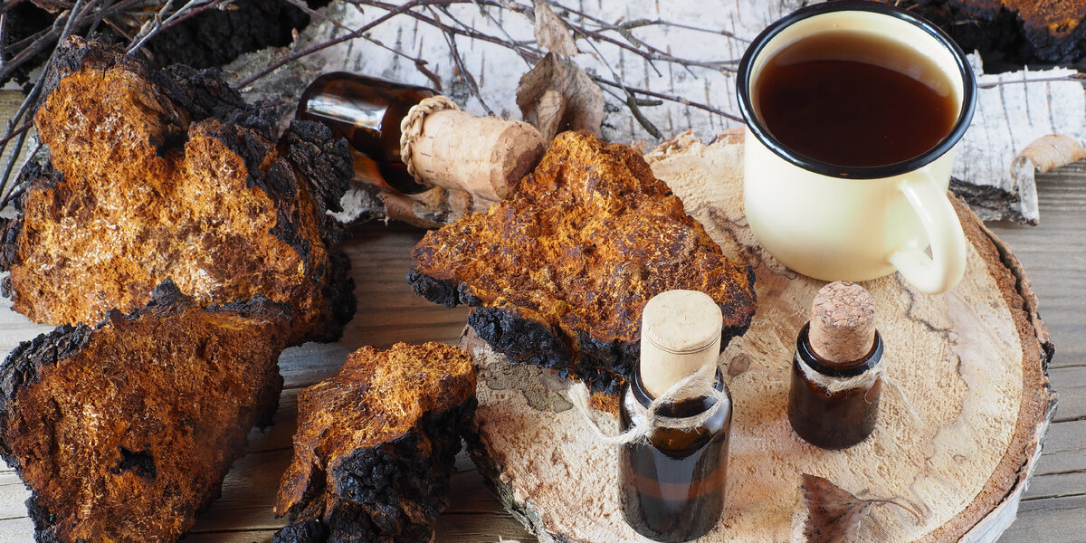 Источник: Adobe Stock/Елена Захарова