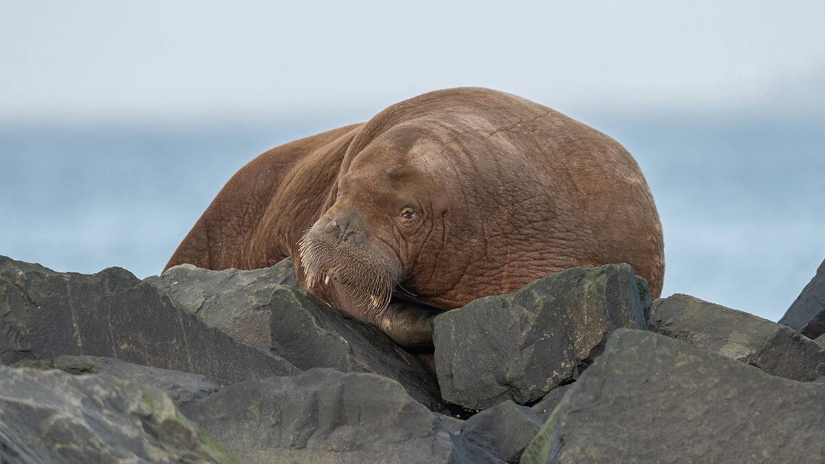   Фото: shutterstock