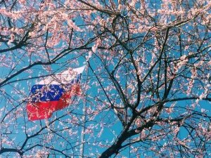    Фото: dzen.ru Валерия Трофимова