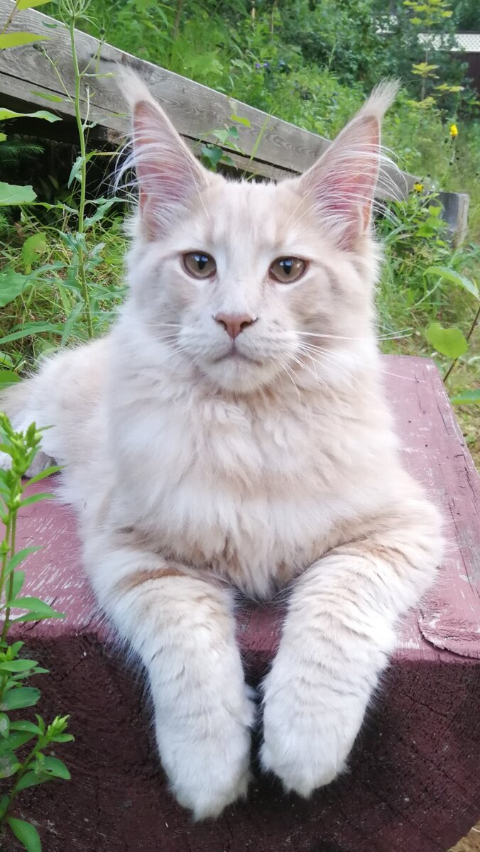 Фото из личного архива.