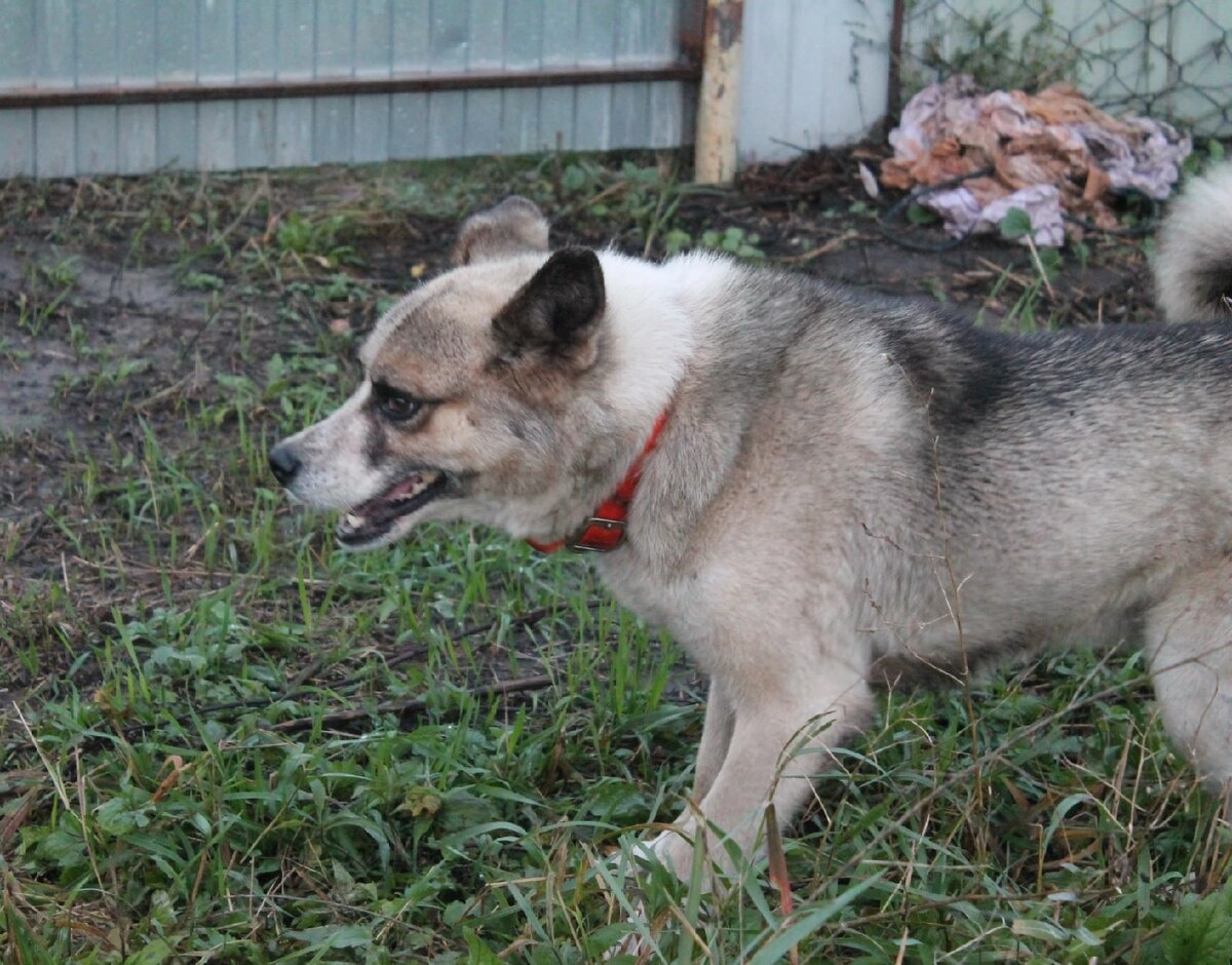 На передержке