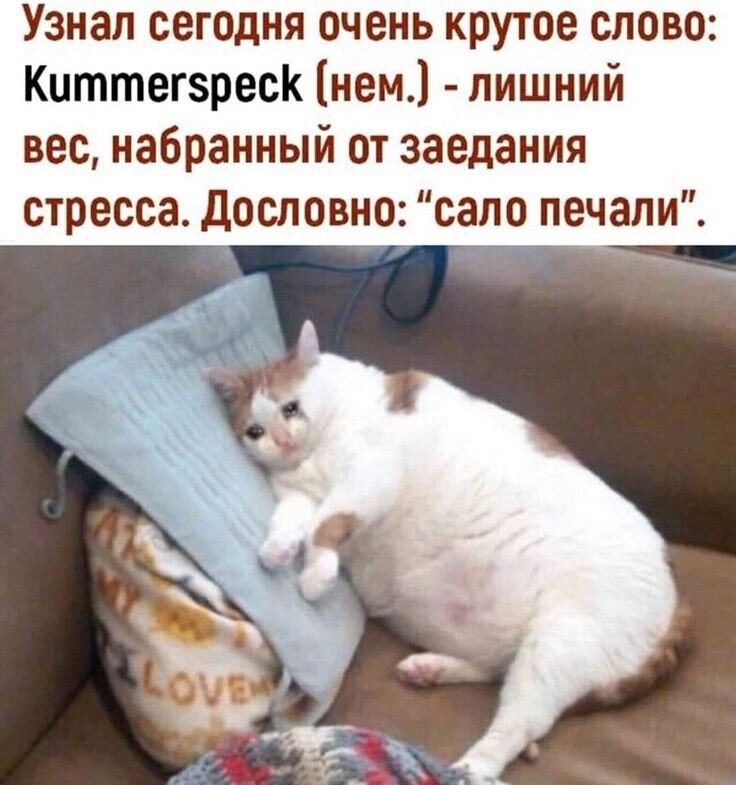 Посмеялся сам - поделись с другом!!!