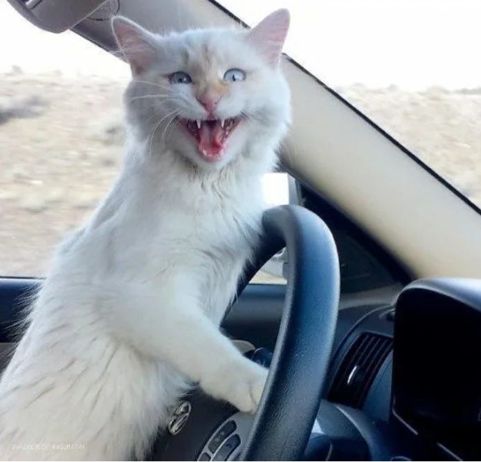 Пристегнитесь, дорогие, шоу начинается!!!!))))😅