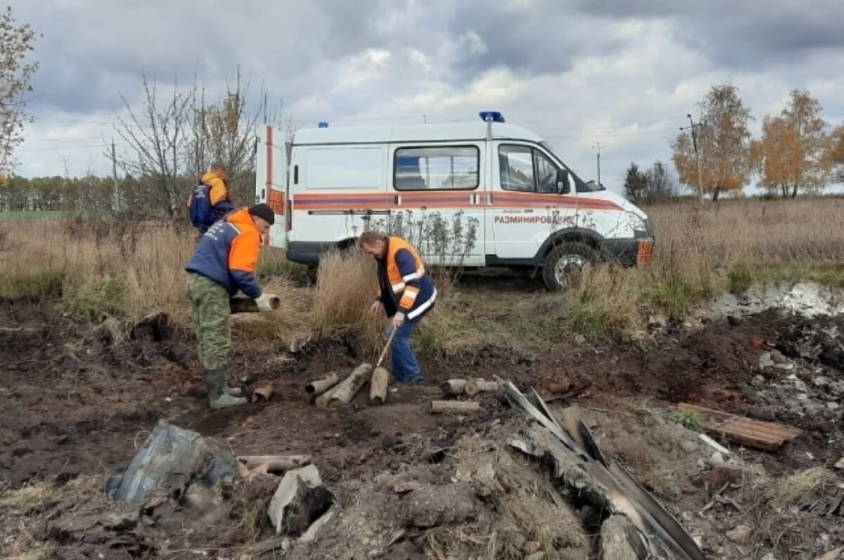    В Тульской области обезвредили две мины времен Великой Отечественной войны