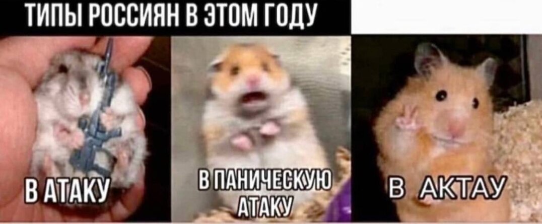 Актуальненько