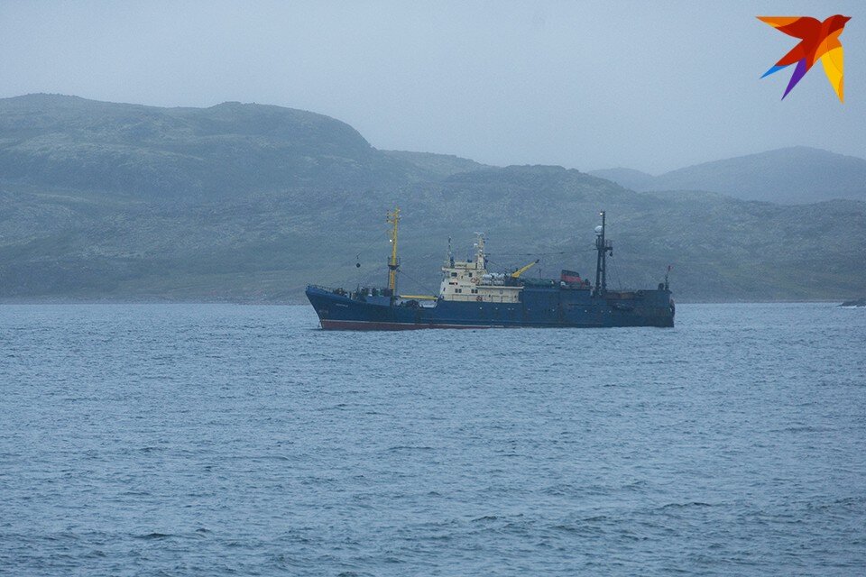     Минсельхоз расписал общий допустимый улов в Северном рыбохозяйственном бассейне. Антон ЗАБИРОВ