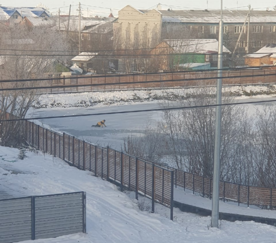    В Салехарде на озере Лебяжьем школьники устроили «тест-драйв» неокрепшего льда