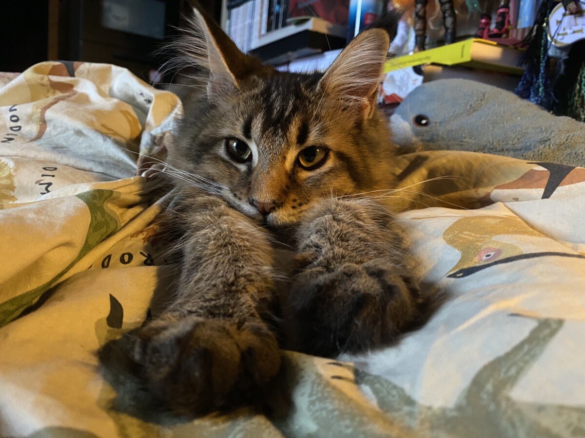 Фото из личного архива. Наша выпускница Ванда Котоамацуками