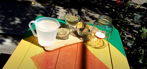 Абсент в домашних условиях: подготовка ингредиентов