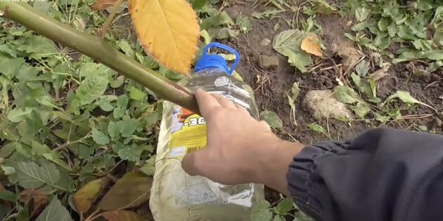 Кадр: Роман Буров / YouTube📷
