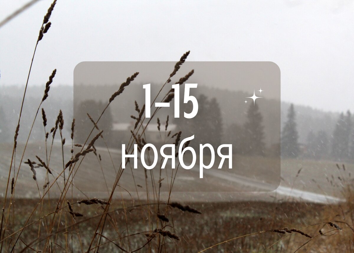 #гороскоп #знакизодиака #ноябрь #овен #близнецы #лев  #весы #скорпион #козерог  #рыбы 
