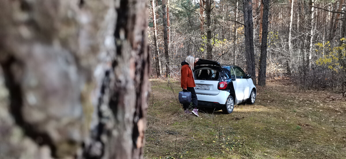 Палатка в сложенном виде легко помещается в багажник СМАРТа, а уж в багажник машины основательного автотуриста влезет тем более.