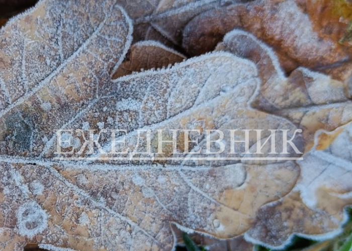 Ежедневник