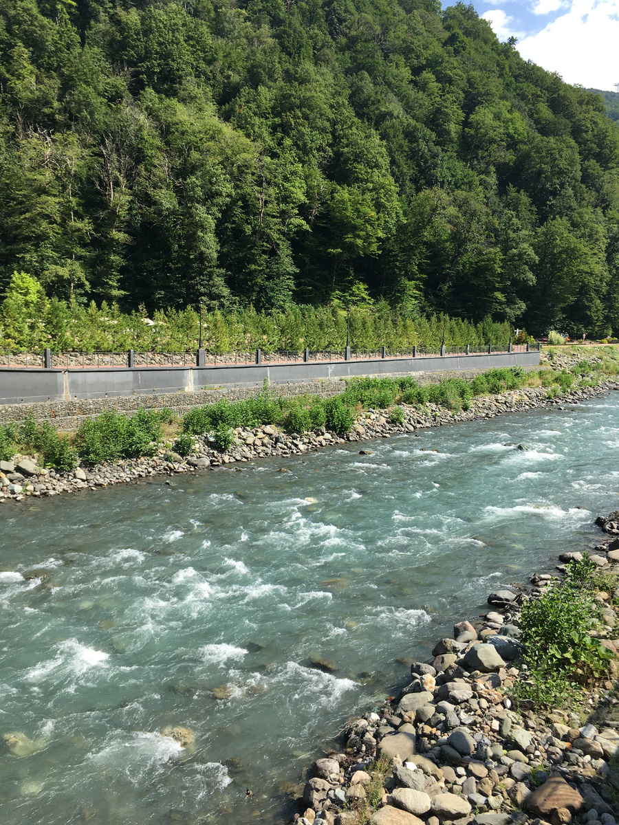 Мзымта на высоте 560 метров на курорте Роза Хутор