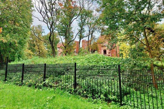   Фото из архива Калининград.Ru