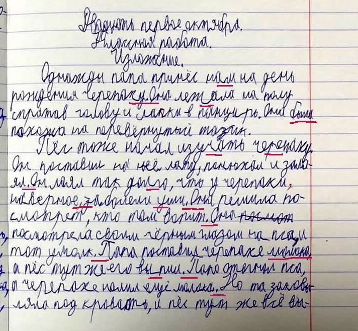 Как научиться основам каллиграфии ручкой с нуля самостоятельно - fitdiets.ru