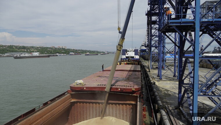    Координатор ООН приветствует решение России о возобновлении участия в зерновой сделке