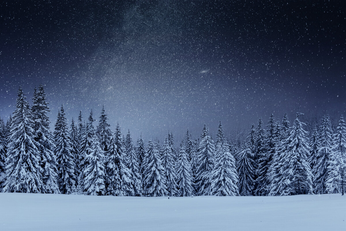 Источник: <a href="https://ru.freepik.com/free-photo/dairy-star-trek-in-the-winter-woods-dramatic-and-picturesque-scene-in-anticipation-of-the-holiday-carpathian-ukraine_9276734.htm#query=%D0%B7%D0%B8%D0%BC%D0%B0%20%D0%BD%D0%B5%D0%B1%D0%BE&position=44&from_view=search&track=sph">Изображение от standret</a> на Freepik
