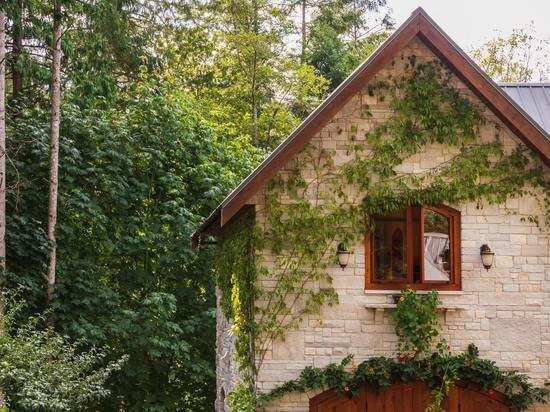     Фото: unsplash.com