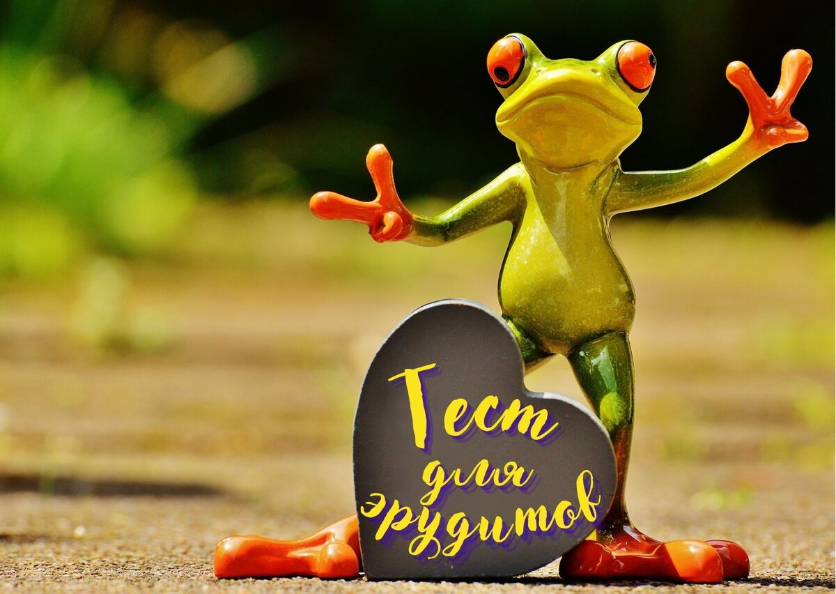 Источник изображения: pixabay.com, дизайн автора публикации