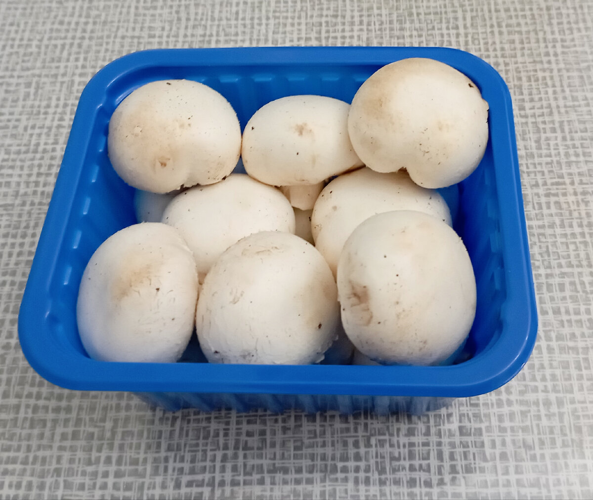 Грибы шампиньоны. Фото моё.