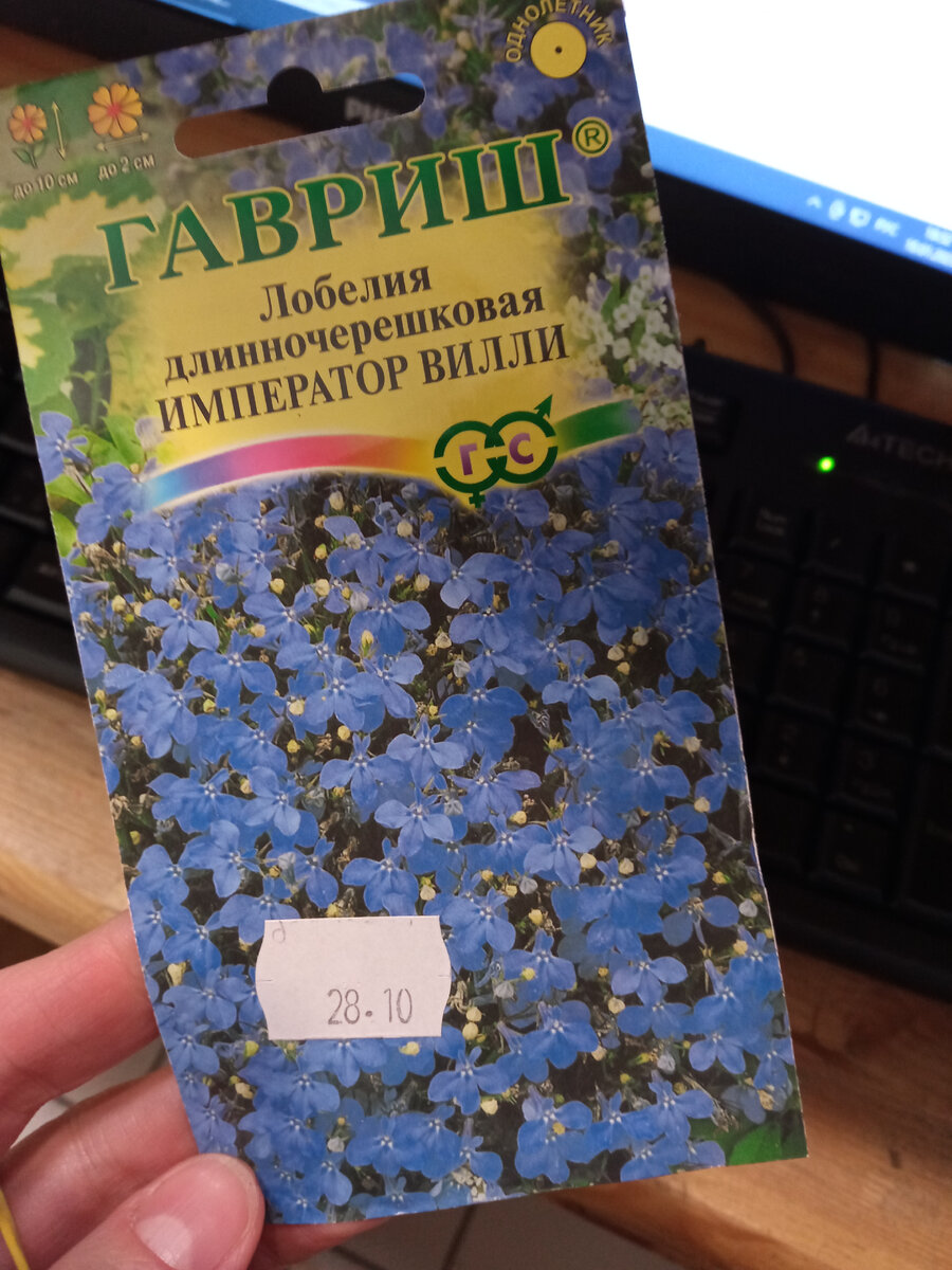 На этот год 