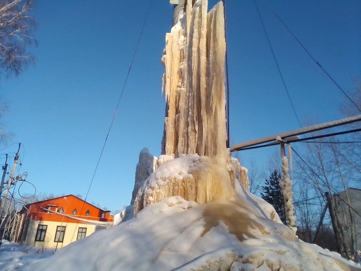     Фото: Кирилл Янчицкий / МК в Омске