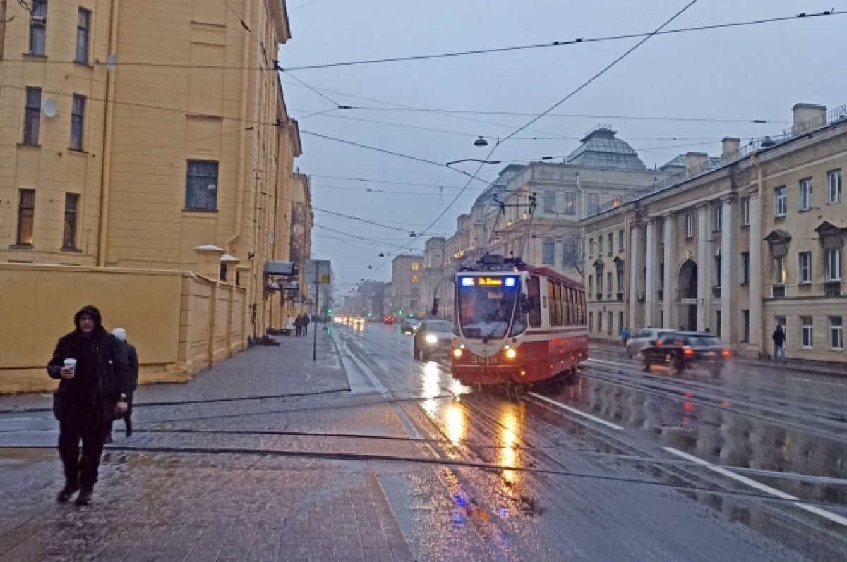    Рекордное тепло и проливные дожди ждут в Петербурге 19 января