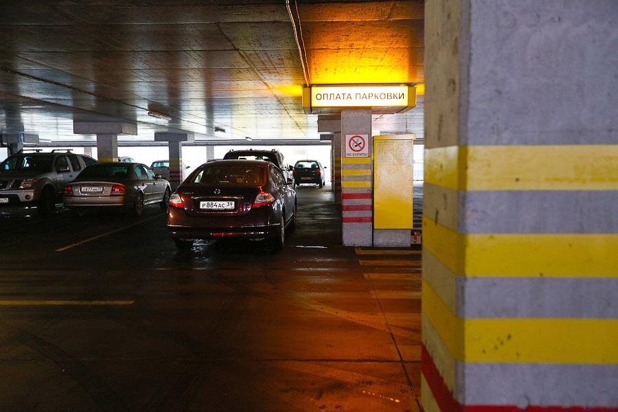 Фото: Виталий Невар / Новый Калининград