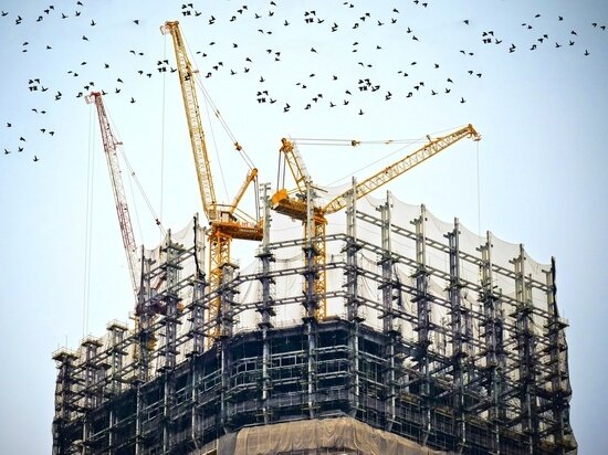     Фото: pxhere.com