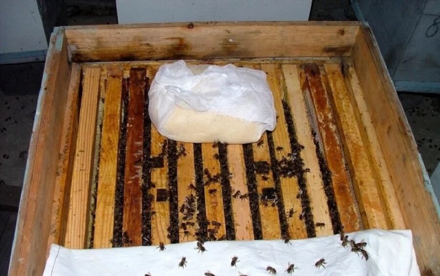 Канди подкормка для пчел. Лепешка Канди для пчел. Канди Пчеловодство Пчеловодство для пчел. Подкормка пчел зимой Канди.