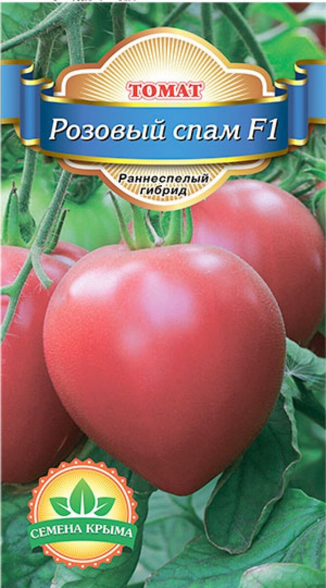 Кладоспориоз томатов - как бороться и стоит ли это делать | Болотный дачник  | Дзен