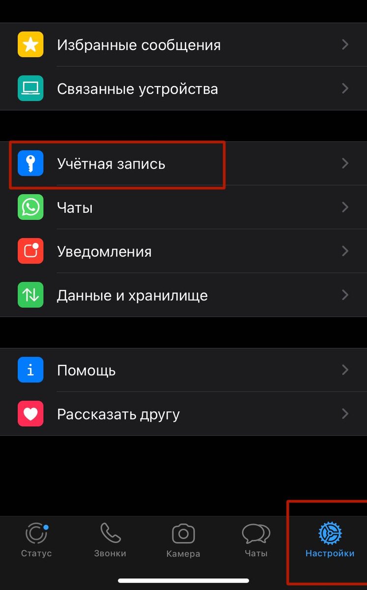 Как запретить добавлять себя в группы WhatsApp? Что нового в WhatsApp? |  Изучаем Word | Дзен