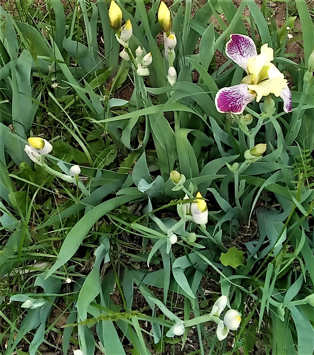                                                Одиночество (фото автора канала)