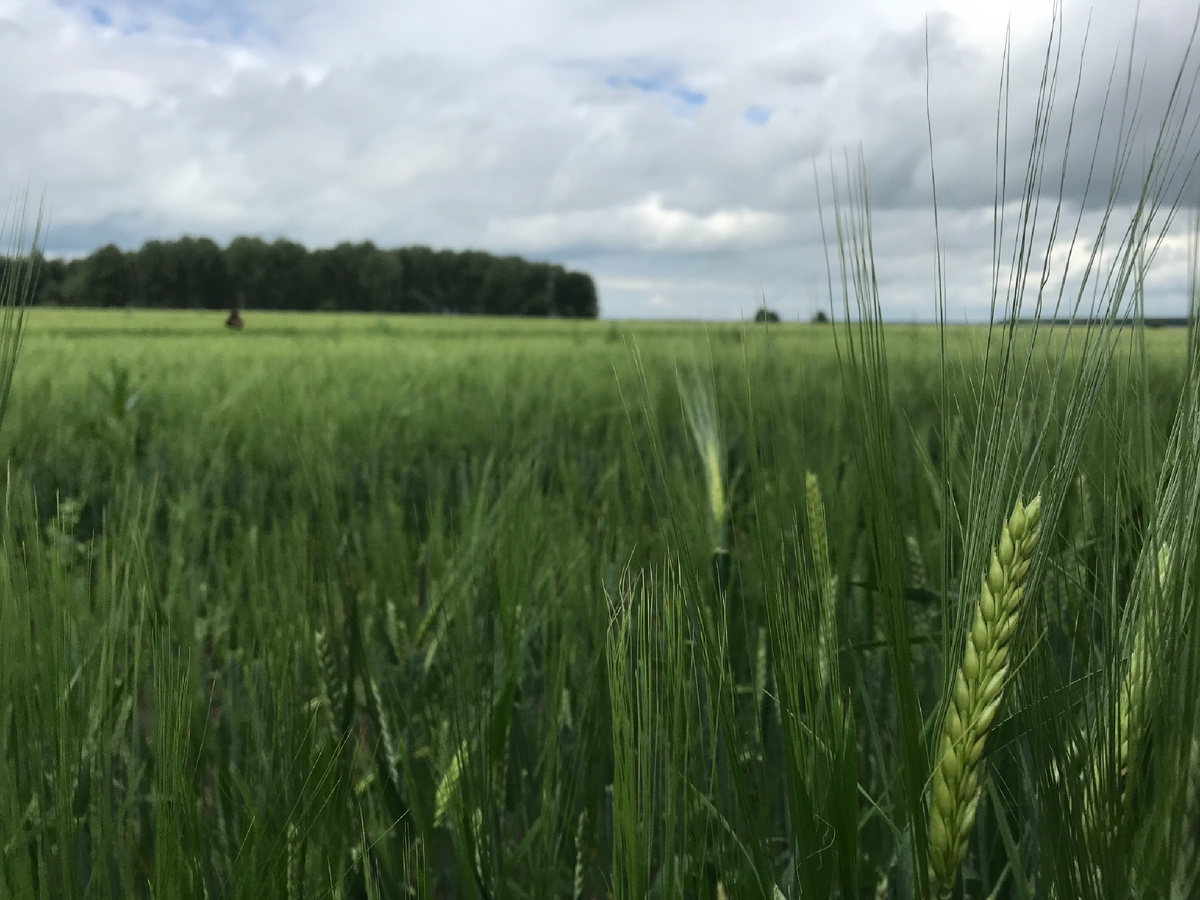 Красота 😻 🌾 