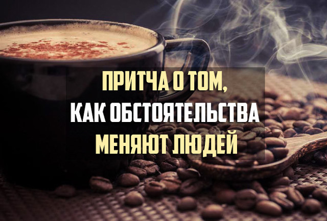 фото взято с яндекс.картинки