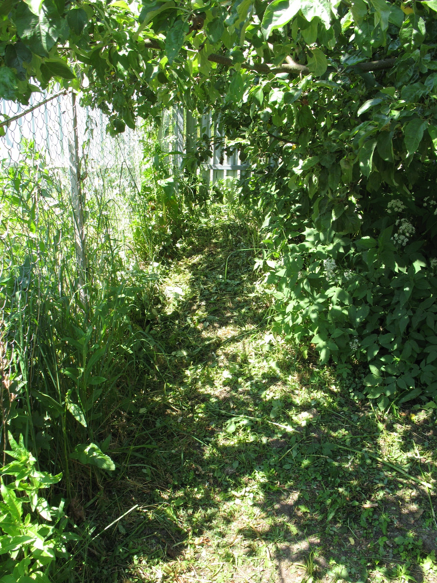 Скашивание вдоль забора. Неровная поверхность