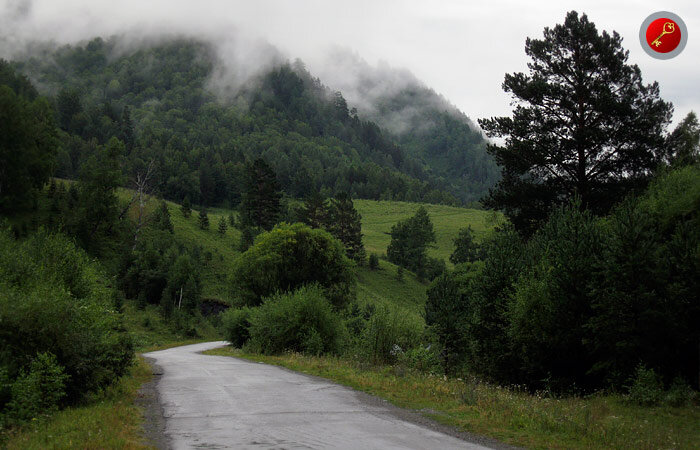 Дорога в горах Алтая (фото автора)