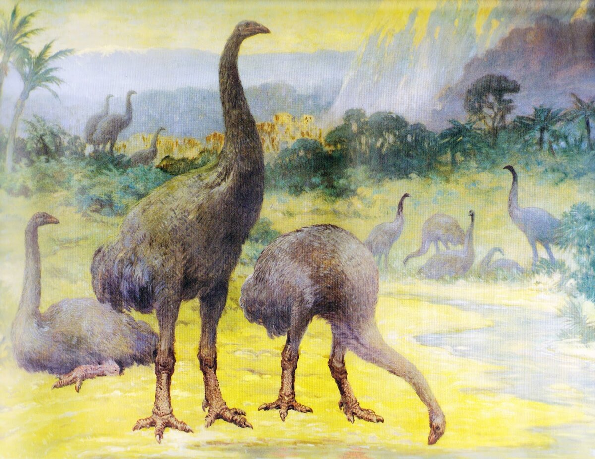 Рисунок из интернета: https://4.bp.blogspot.com 