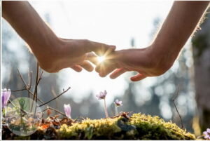 Как часто, вступая в отношения, любые, мы задумываемся о том, что имеем дело с хрупкой структурой…  Даже если эта «структура» внешне выглядит физически сильной…