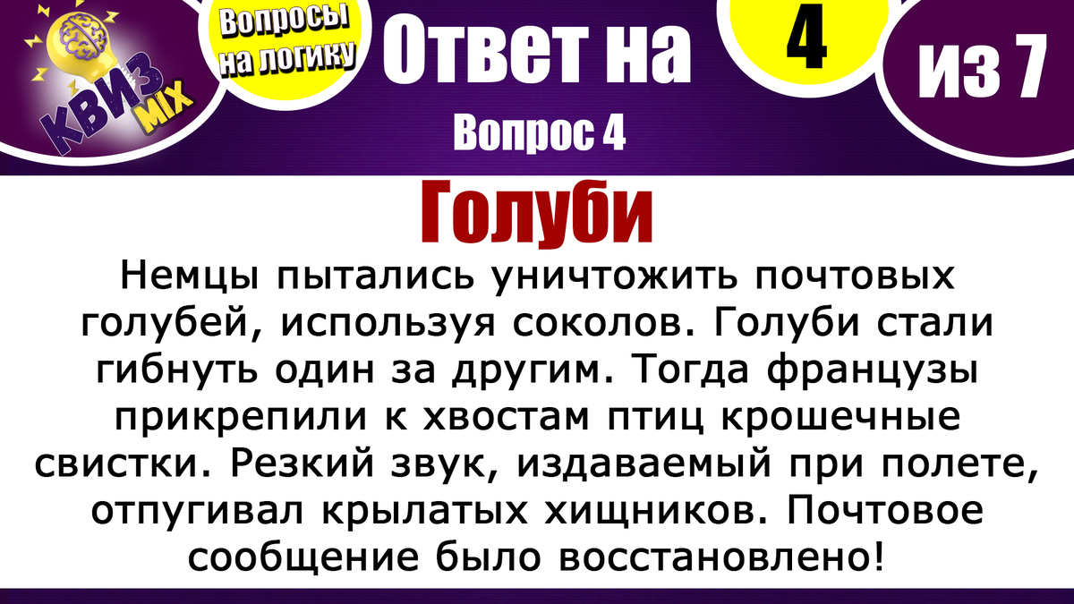 Чисто на логику #50: 😽Для вас собрали 7 непростых вопросов. | КвизMix -  Здесь задают вопросы. Тесты и логика. | Дзен