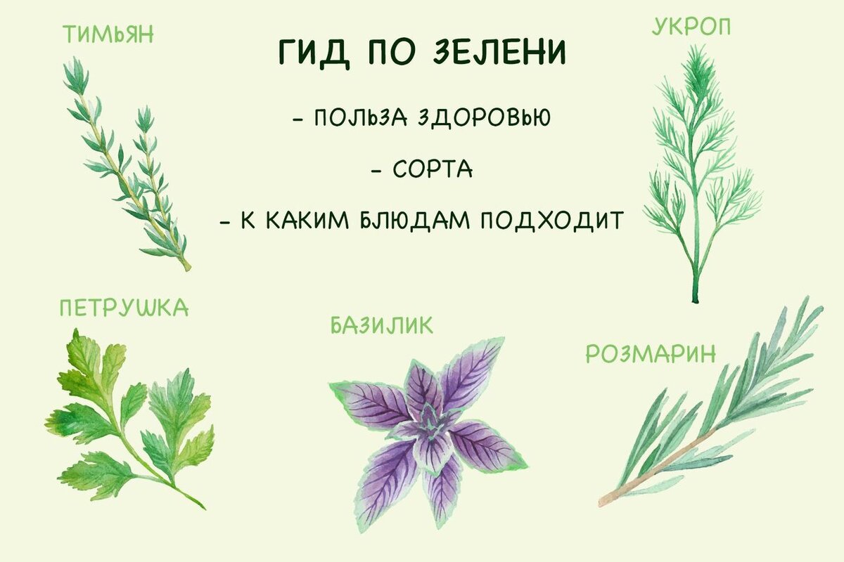 Комментарии