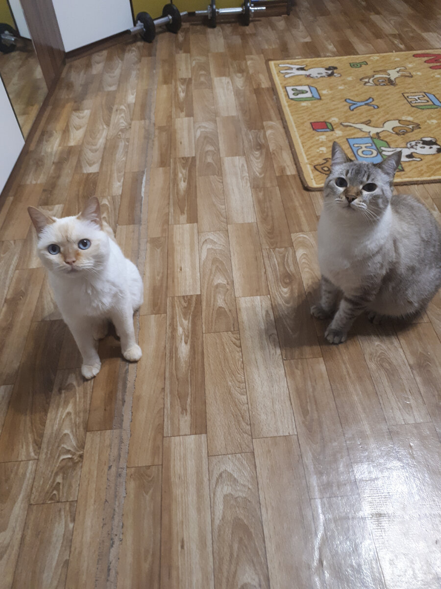 Зёма с группой поддержки